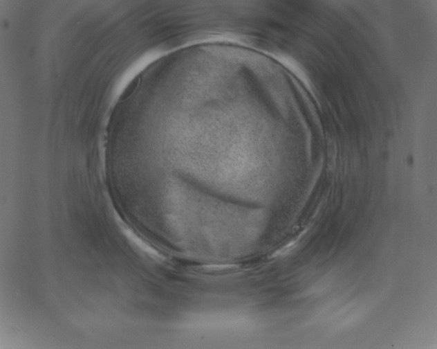 X0000067851151200604271639