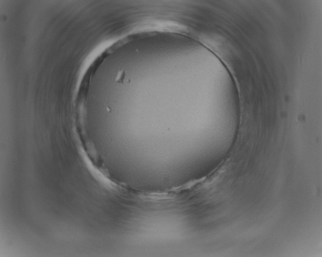 X0000067851152200604271639