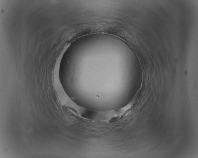 X0000067851153200604271638