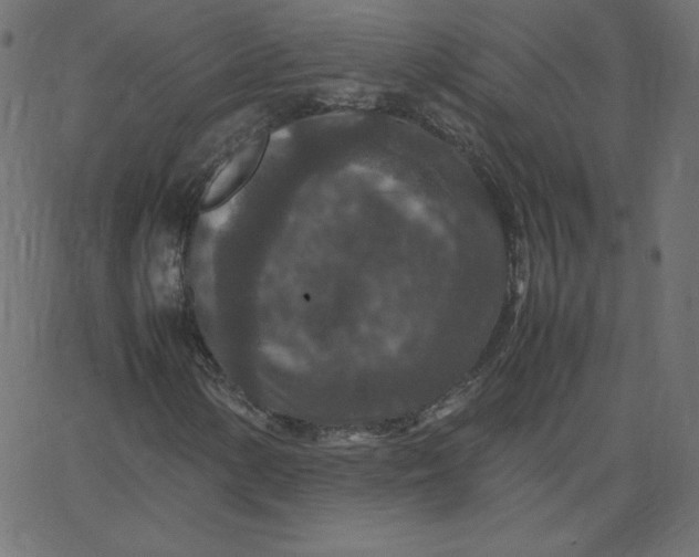 X0000067851154200604271638