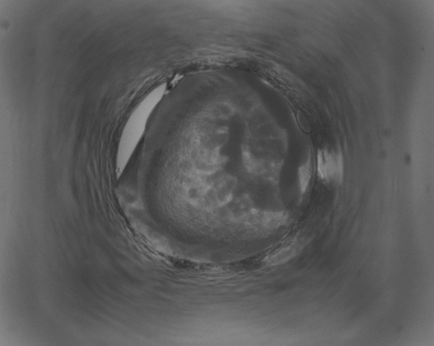 X0000067851155200604271638