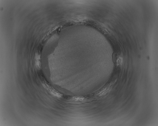 X0000067851156200604271638