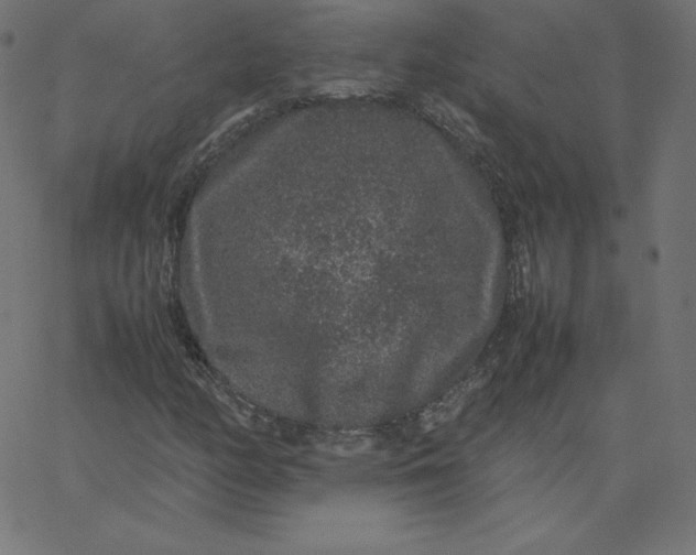 X0000067851158200604271638