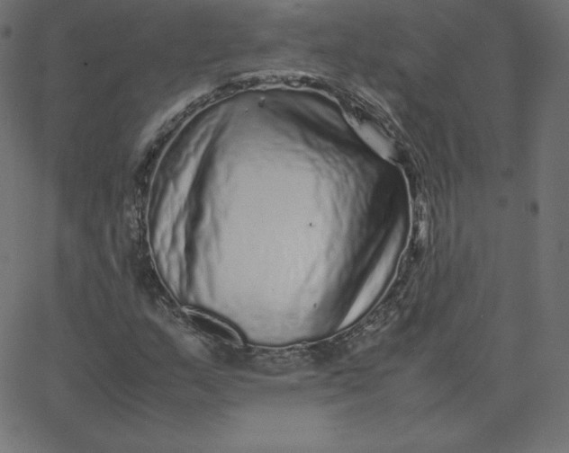 X0000067851159200604271638