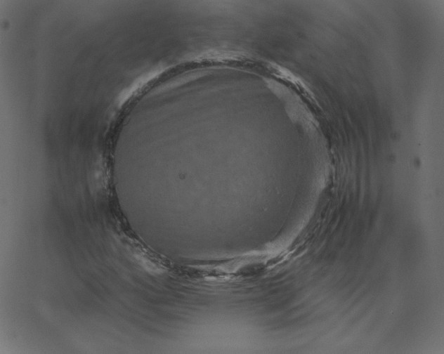 X0000067851160200604271638