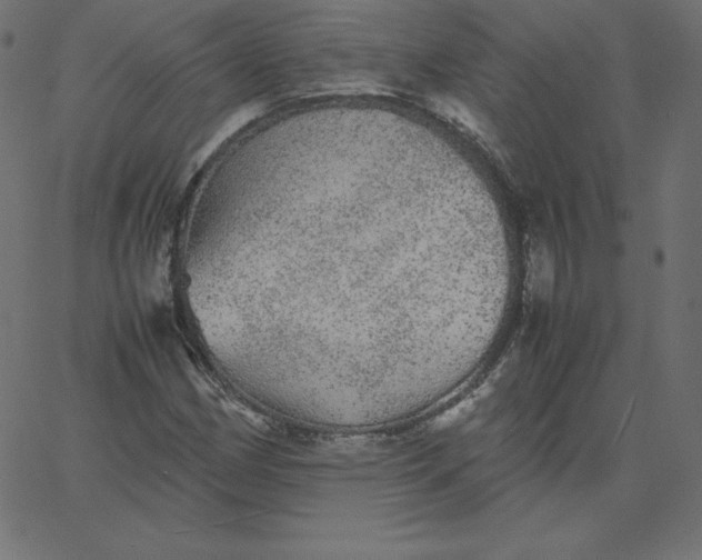 X0000067851162200604271638