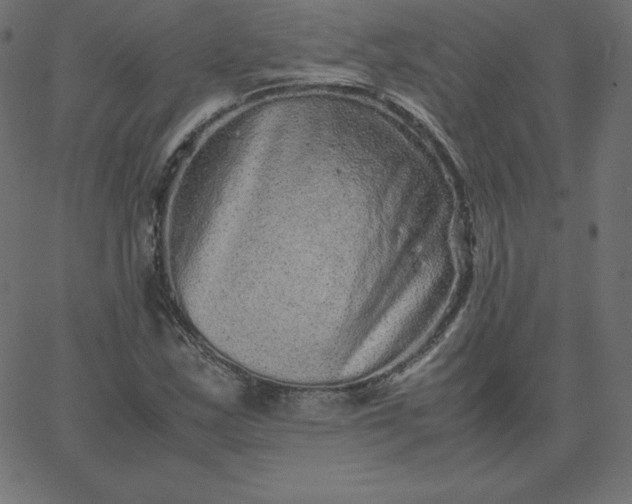 X0000067851163200604271637