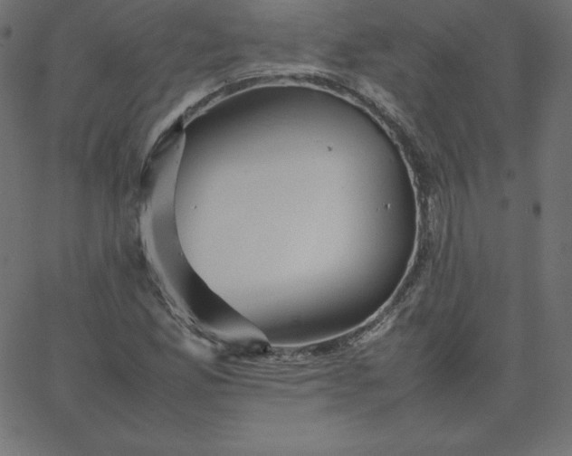 X0000067851165200604271637