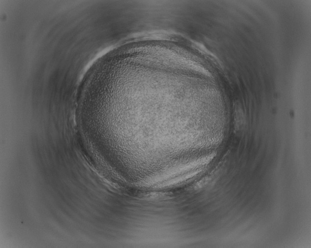 X0000067851166200604271637