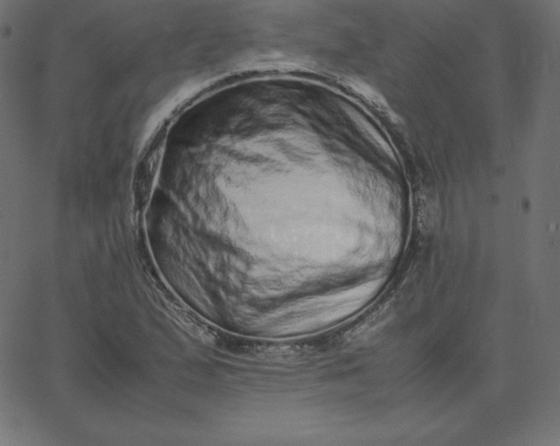 X0000067851167200604271637