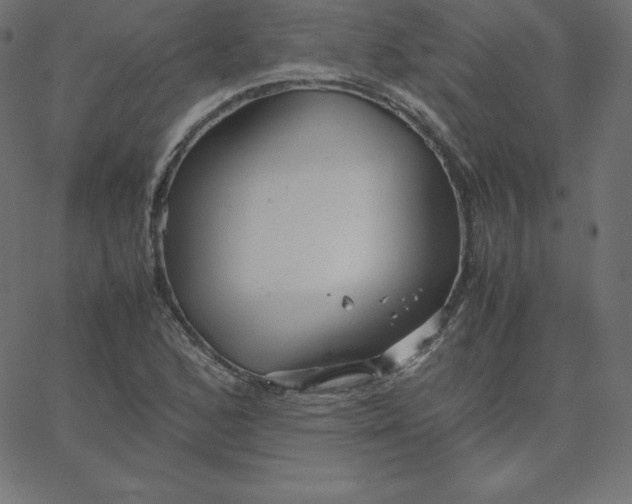 X0000067851168200604271637