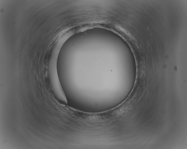 X0000067851169200604271637