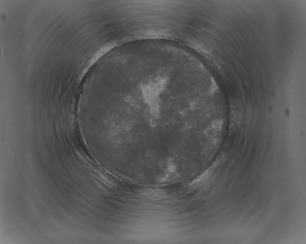 X0000067851170200604271637