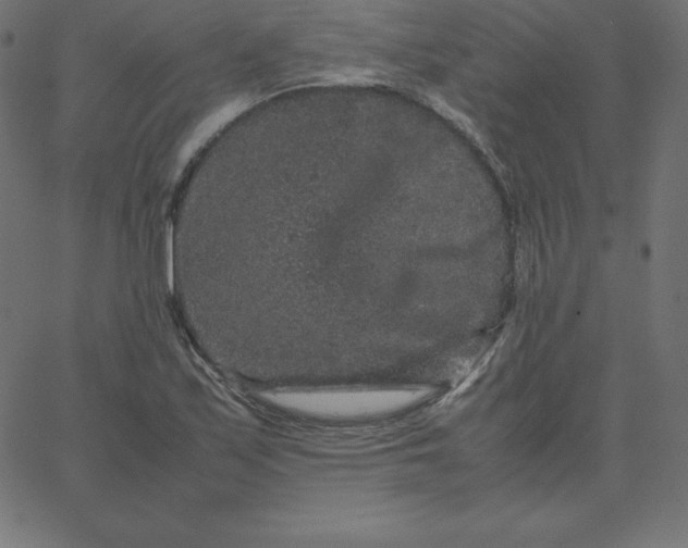 X0000067851171200604271637