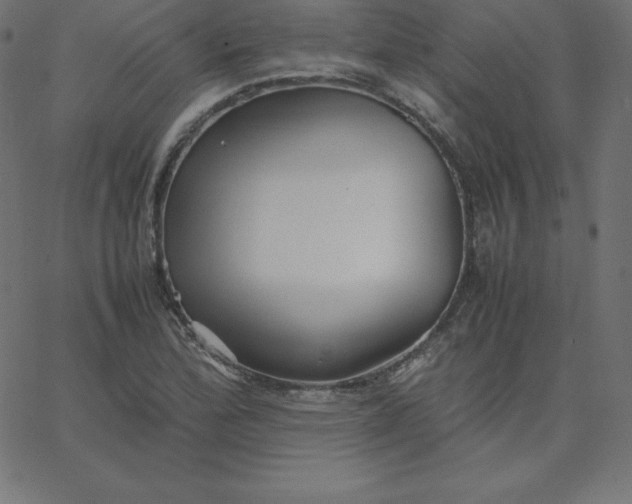 X0000067851172200604271637