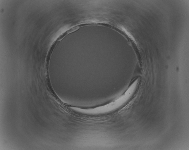 X0000067851173200604271637