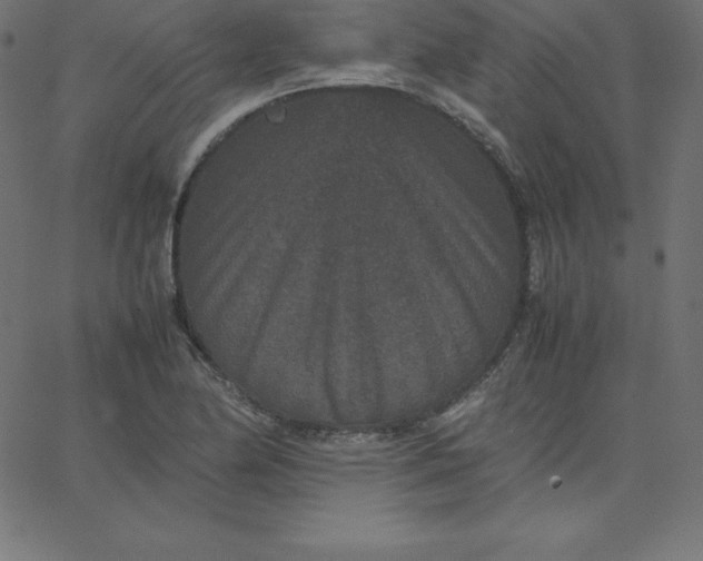 X0000067851174200604271637