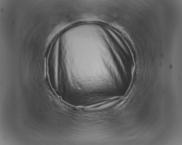 X0000067851175200604271637