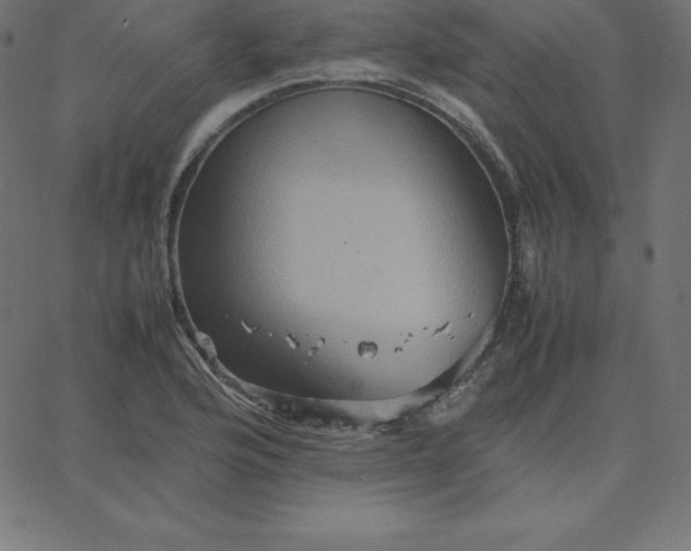 X0000067851176200604271637