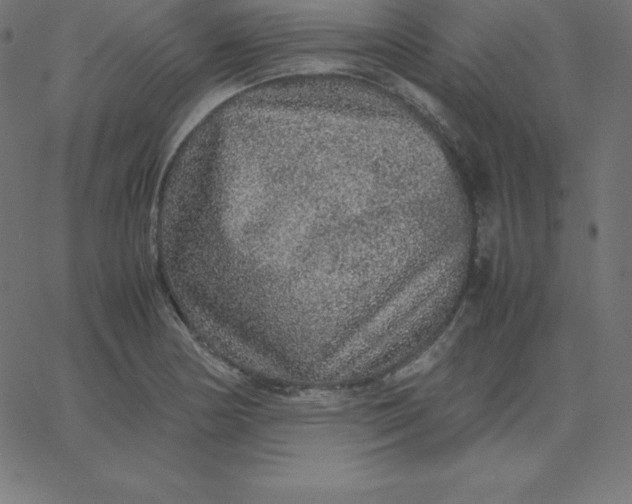 X0000067851178200604271637