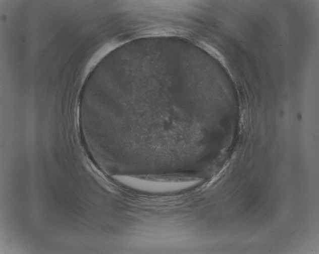 X0000067851179200604271637