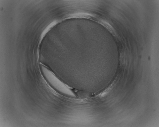 X0000067851180200604271637