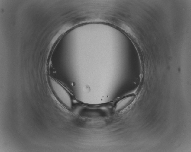 X0000067851181200604271637