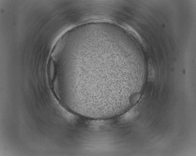 X0000067851182200604271637