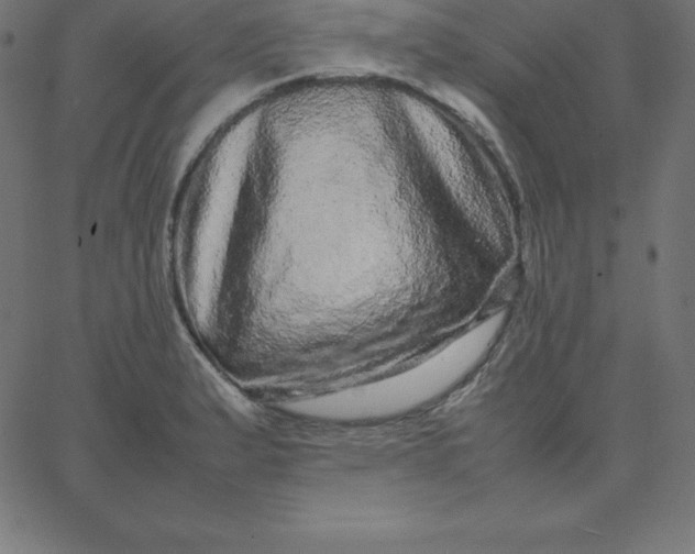 X0000067851183200604271637