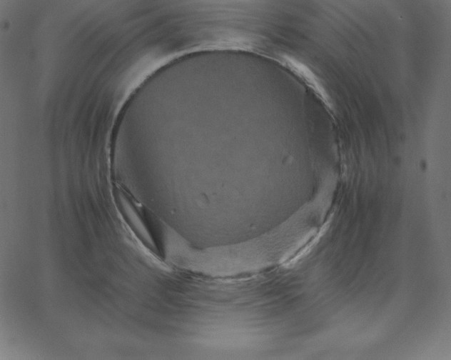 X0000067851184200604271637