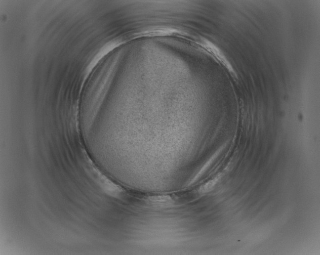 X0000067851186200604271637