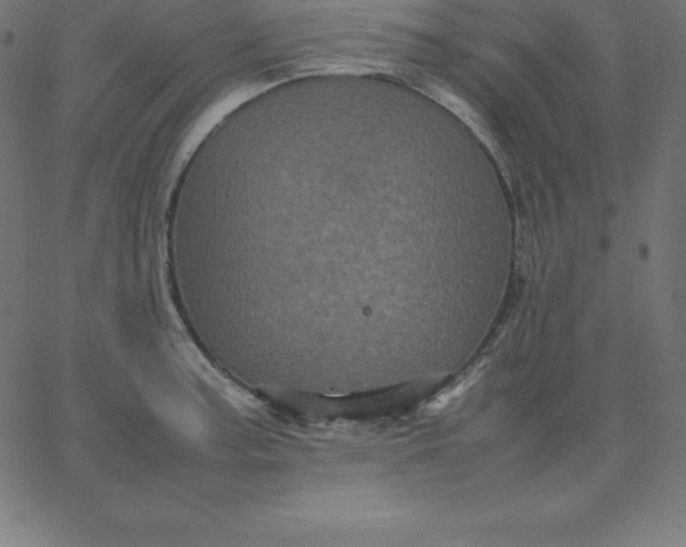 X0000067851187200604271637