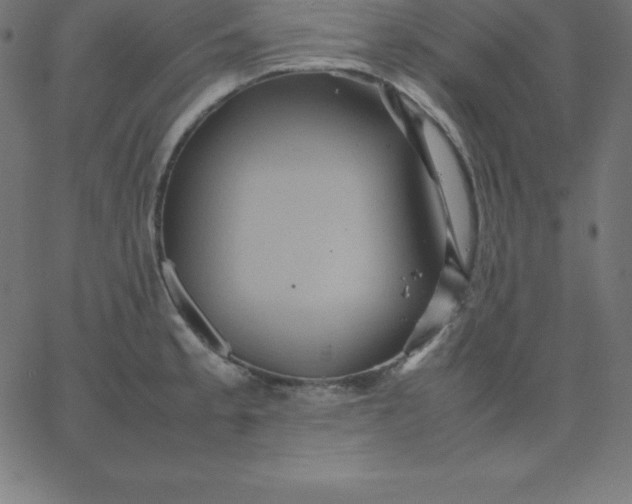 X0000067851189200604271637