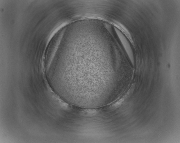 X0000067851190200604271637