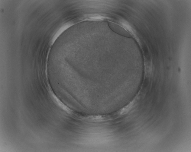 X0000067851194200604271637