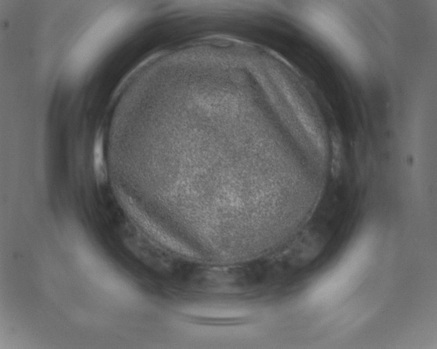 X0000067851198200604271637