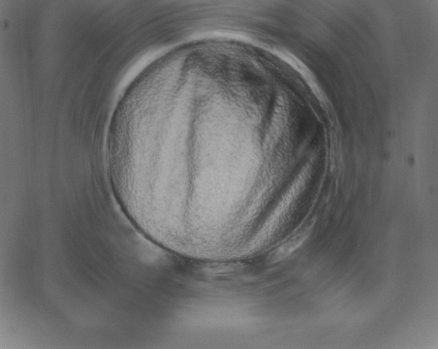 X0000067851199200604271637