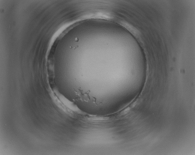 X0000067851200200604271637