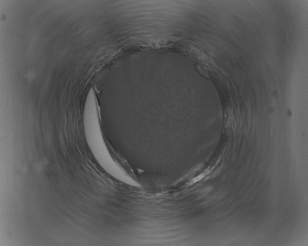 X0000067851202200604271636