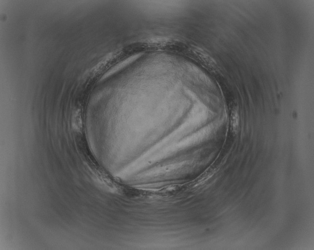 X0000067851204200604271636