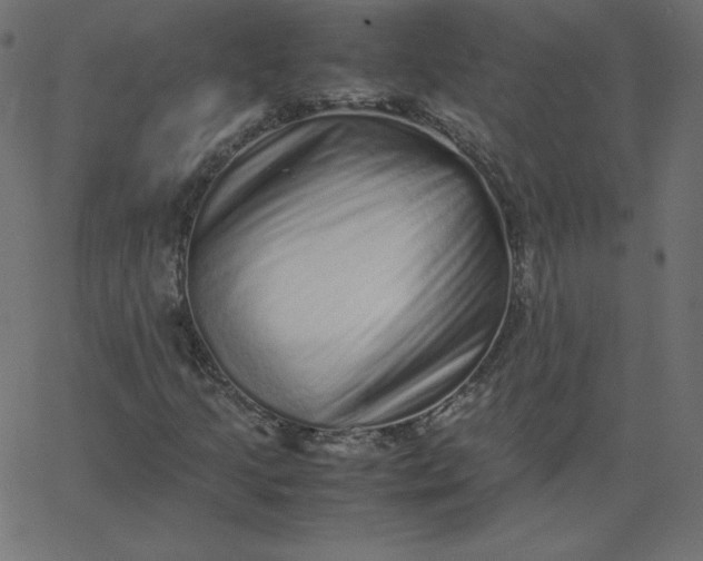 X0000067851205200604271636