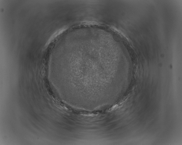 X0000067851207200604271636