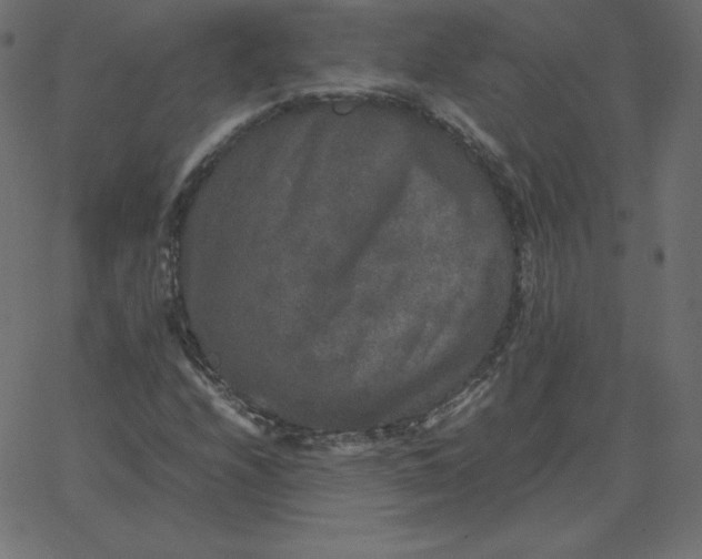 X0000067851208200604271636