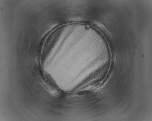 X0000067851209200604271636