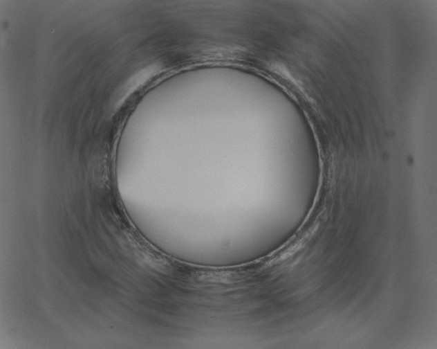 X0000067851211200604271636