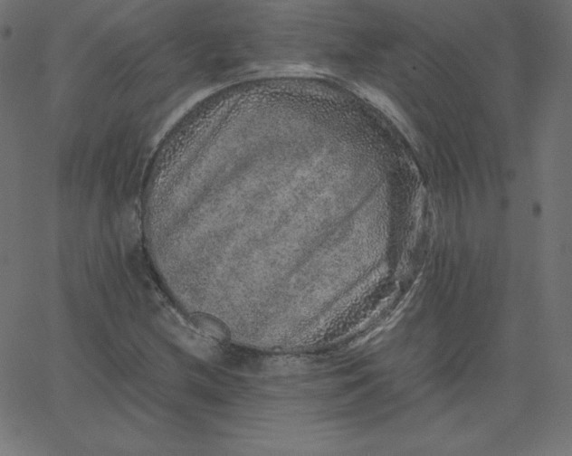 X0000067851212200604271636