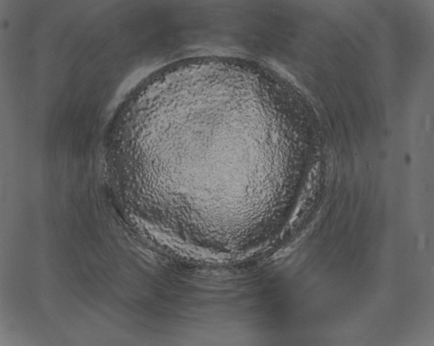 X0000067851215200604271636