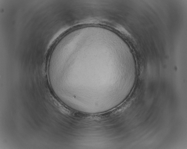 X0000067851216200604271636