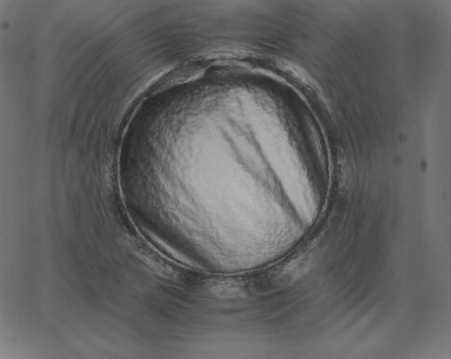 X0000067851217200604271636