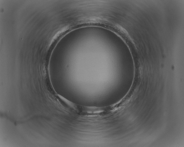 X0000067851218200604271636